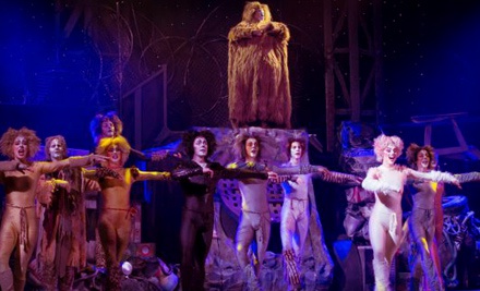 Cats – Panasonic Theatre