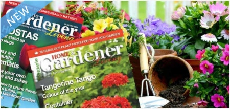 Ontario Home & Gardener Living