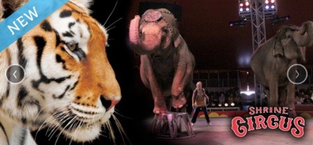 Shrine Circus