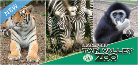 Twin Valley Zoo